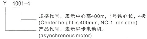 西安泰富西瑪Y系列(H355-1000)高壓三相異步電機型號說明