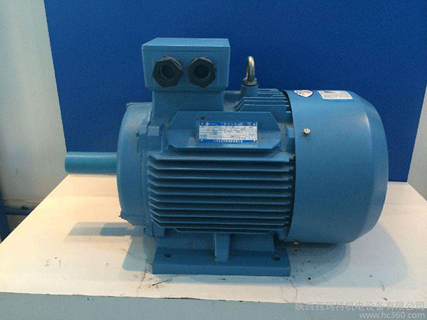 高效節能電機是西安泰富西瑪未來商業發展的方向。